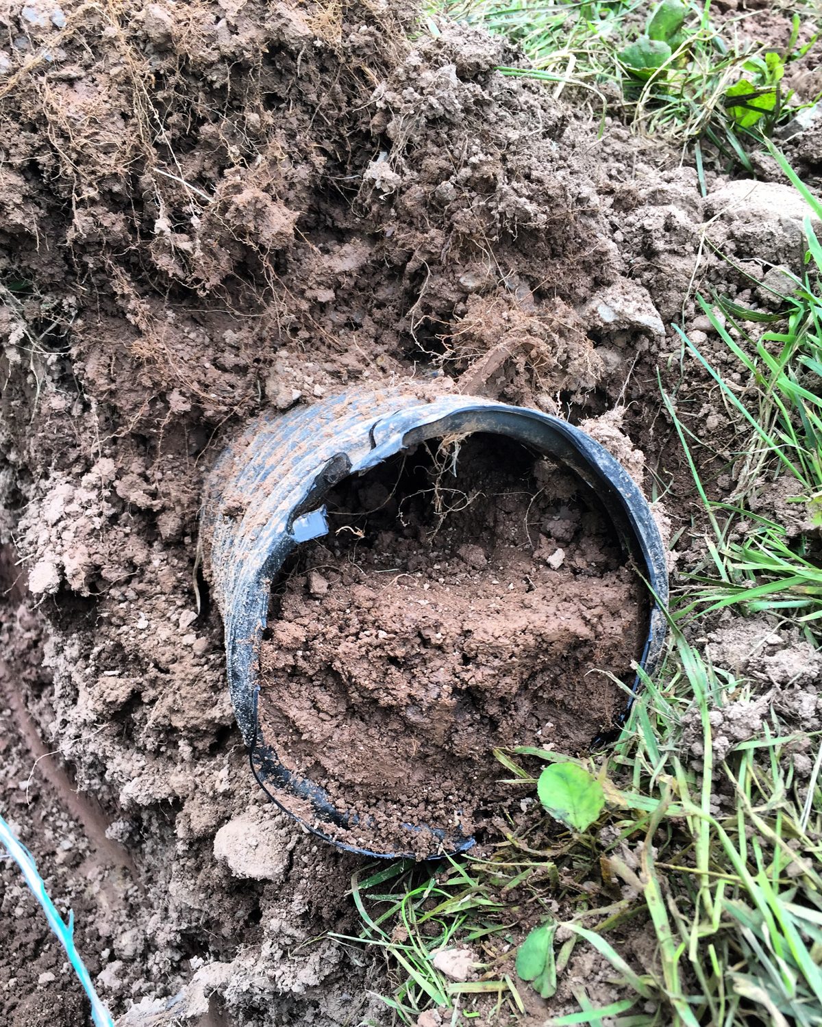 A thin black drainage pipe dug out of the ground, crushed out of shape and packed solid with soil