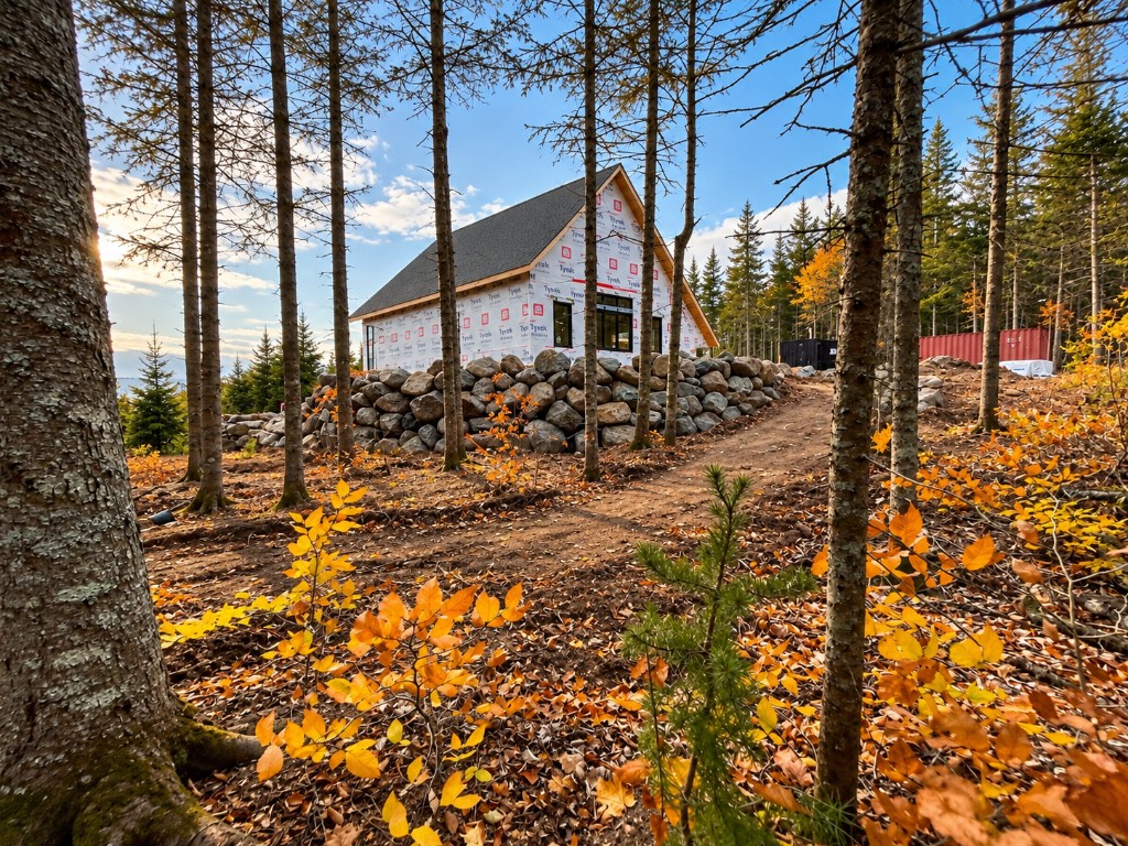 A natural rock wall holding up a house under construction on a wooded lot, with autumn leaves and tall pines around it